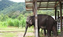 忆——那一段温暖的时光