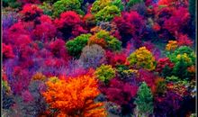 秋季，我的最爱