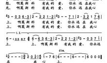 那曾感动我的爱