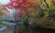 秋天我要留住你