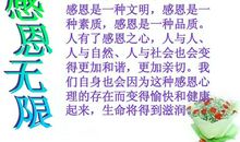 感恩父母为长辈尽孝心