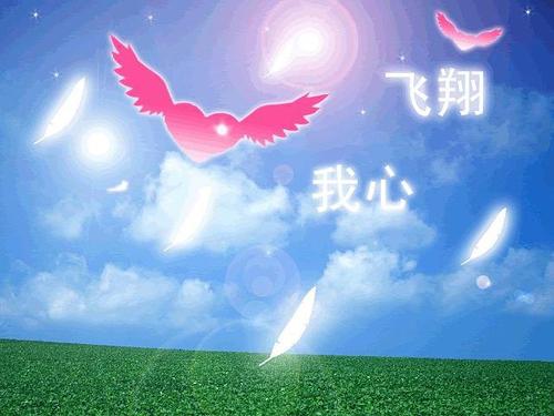 母亲的爱有助于我