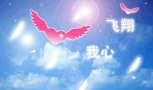 母亲的爱助我飞翔