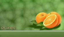 一抹生命的色彩