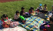 踏青感悟三重奏