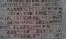 我得到了别样的爱作文