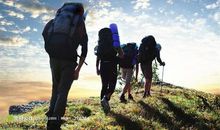 丑不能阻挡我们前进