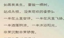 爱的姿势成永恒