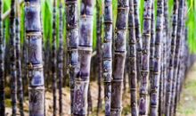 不朽的是内在美