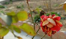 忘记过去把握未来