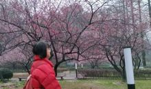 感恩那一抹阳光