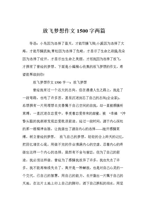 飞行梦想成分