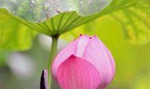 让提醒在生命中飞扬