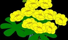 指缝间滑过的彩绳