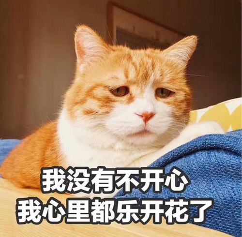 有一种称为快乐的感觉