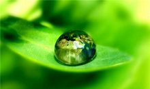 我是一滴幸福的雨露