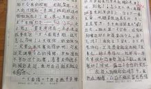 为自己喝彩初中作文