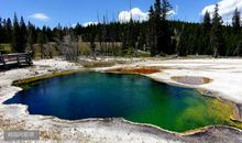 夏日里，我们探访神奇的自然