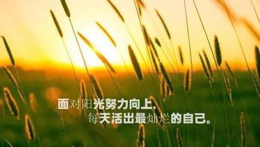 唤醒