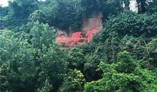 那山·那海·那森林