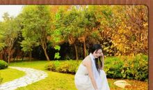 秋雨蒙蒙，牵动我的情思