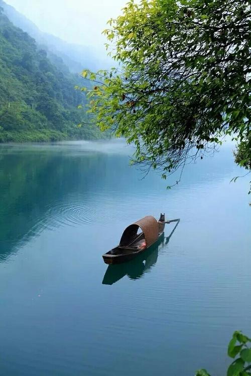 在风雨中的一艘叶子船