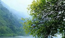 风雨中的一叶小舟