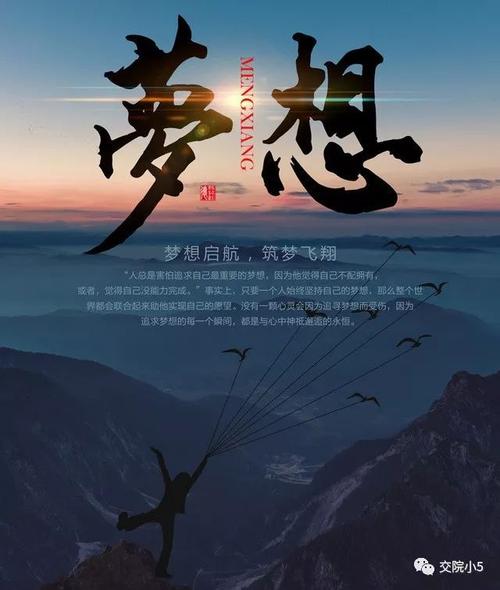 我理解的理想选择