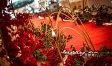 你是我心中的一抹暖阳