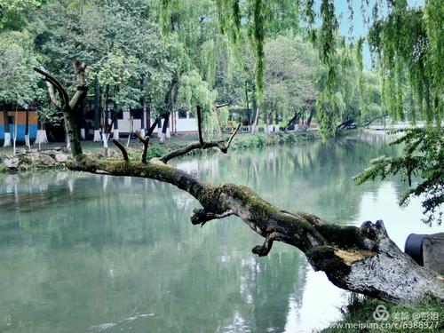 我是一个景观