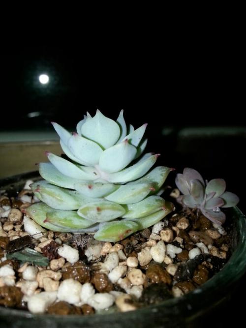 安静的夜晚