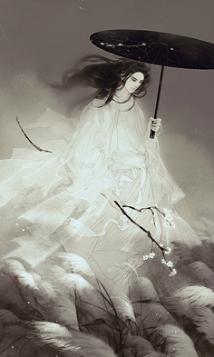 计算在叶子瓣的阳光