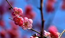 我发现自由很美