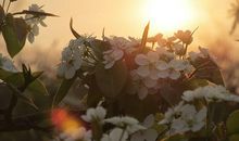 往事的回忆，心中的美好