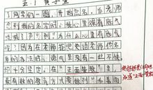 心中的那朵芬芳作文