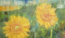 雨季中的向日葵读后感