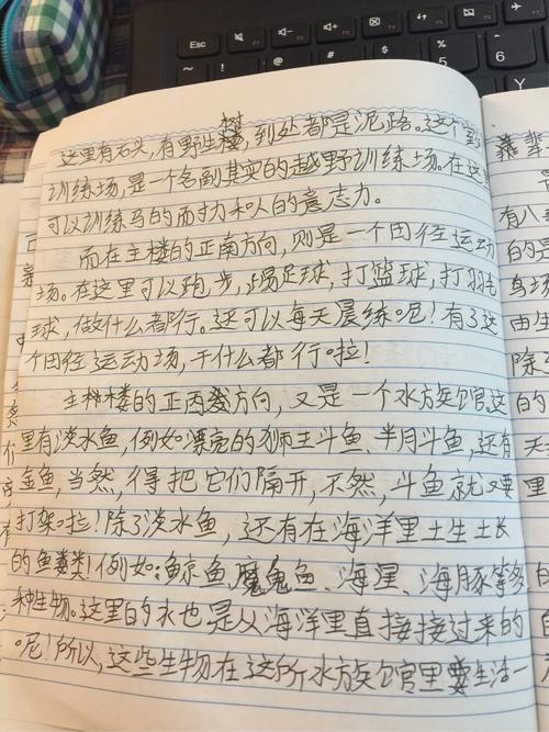 阅读你的作品