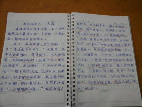 社会实践活动，600字