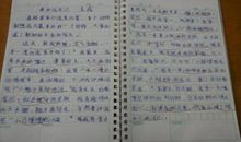 社会实践活动作文600字