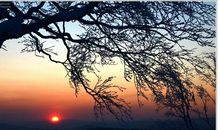 像早晨的第一缕阳光