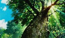 不完美也是一种完美