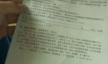 合作的快乐作文