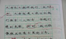 公平的见证作文