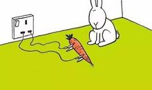 成功的道路上需要锲而不舍