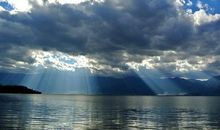 被遗弃的坚韧——读《孤独的洗礼》有感