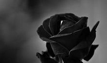 寻找内心的孤寂