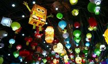 我喜欢的一项活动