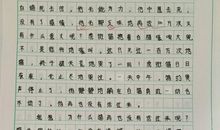 爱与被爱——《活了一百万次的猫》读后感