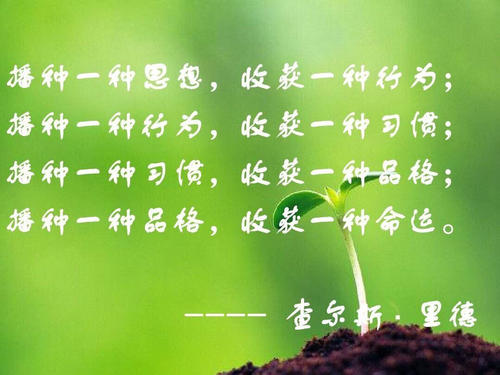 行动创造了幸福