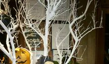 离别的时候别说再见